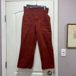 Burnt orange Zara Pants
